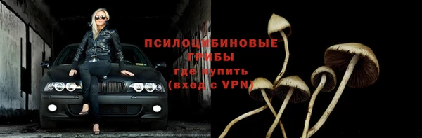 Альфа ПВП Баксан