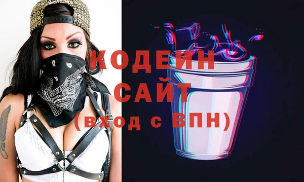 индика Саяногорск