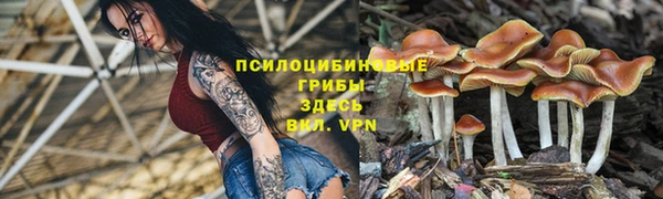 прущий лед Балахна